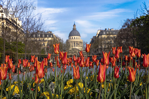 Szenische Ansicht des Jardin du Luxembourg und des Pantheon  Paris  Frankreich
