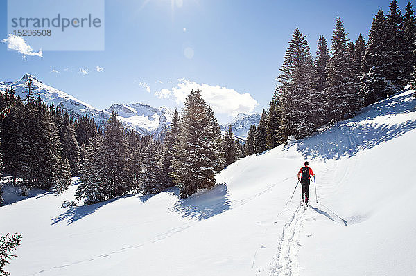 Erwachsener Mann beim Schneeschuhwandern im verschneiten Bergwald  entfernte Rückansicht  Steiermark  Tirol  Österreich