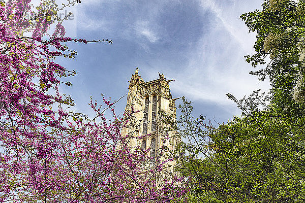 Tour Saint-Jacques durch Baumwipfel gesehen  Paris  Frankreich