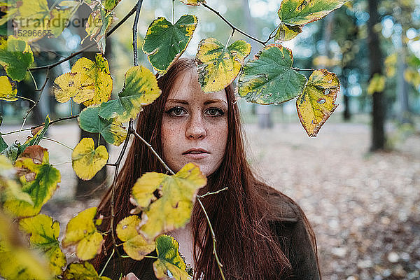 Junge Frau mit langen roten Haaren hinter einem Herbstlaubzweig im Park  Porträt