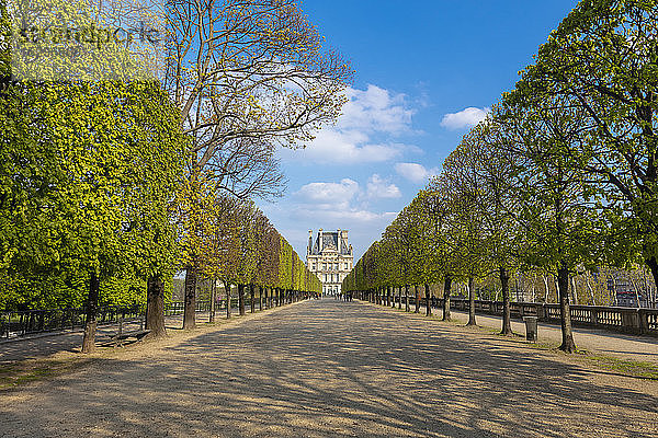 Szenische Ansicht des von Bäumen gesäumten Jardin des Tuileries und des Louvre-Museums  Paris  Frankreich
