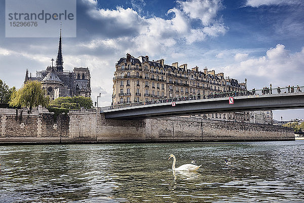 Szenische Ansicht der Ile de la Cite und der Kathedrale Notre Dame am Wasser  Paris  Frankreich