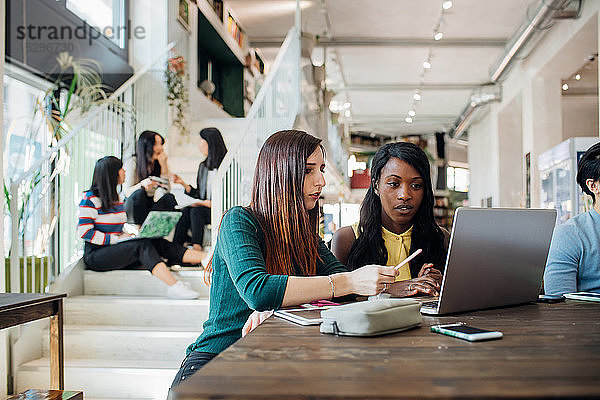 Junge Geschäftsfrauen arbeiten an entfernten Orten und schauen im Café auf den Laptop