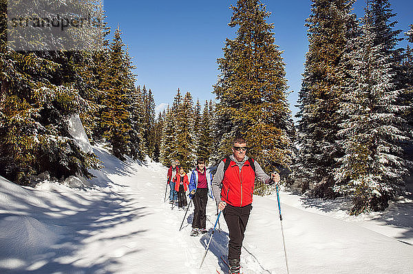 Reifes Paar und Töchter beim Schneeschuhwandern in verschneiter Waldlandschaft  Steiermark  Tirol  Österreich