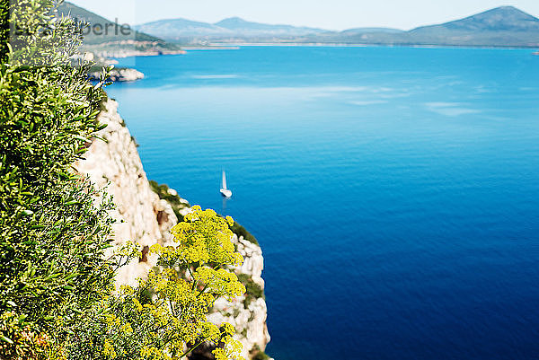 Szenische Ansicht des blauen Meeres von einer Klippe aus  erhöhte Schärfentiefe  Alghero  Sardinien  Italien