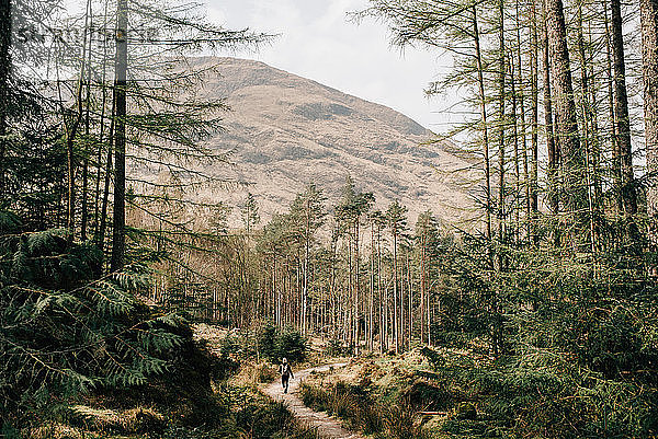 Frau auf Waldspaziergang  Trossachs-Nationalpark  Kanada