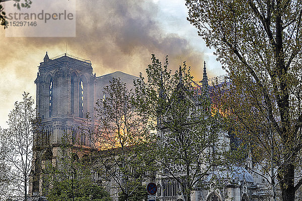 Brand in Notre-Dame de Paris  Paris  Ile-de-France  Frankreich