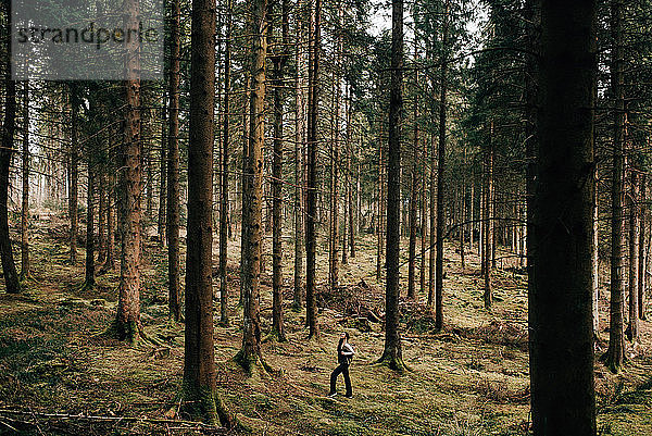 Frau bewundert Bäume  Trossachs-Nationalpark  Schottland