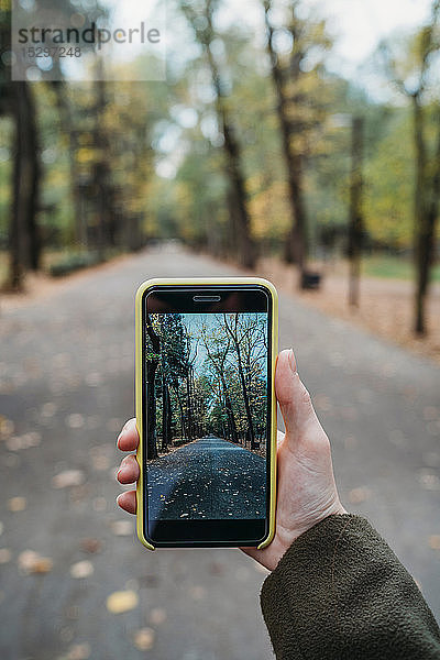 Junge Frau fotografiert baumgesäumten Herbstpark auf Smartphone  persönliche Perspektive  Florenz  Toskana  Italien