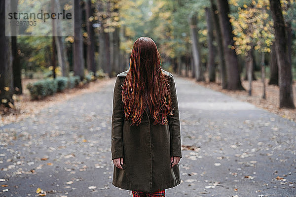 Junge Frau mit langen roten Haaren  die ihr Gesicht im Herbstpark bedecken  Porträt