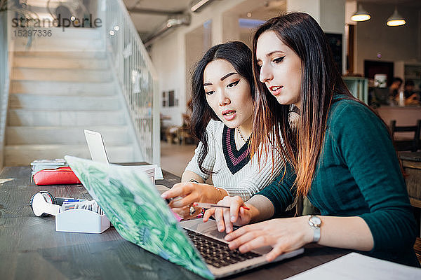 Zwei junge Geschäftsfrauen bei der Fernarbeit  die sich im Café einen Laptop anschauen