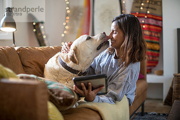 Labrador-Retriever leckt das Gesicht einer jungen Frau auf einem Wohnzimmersofa
