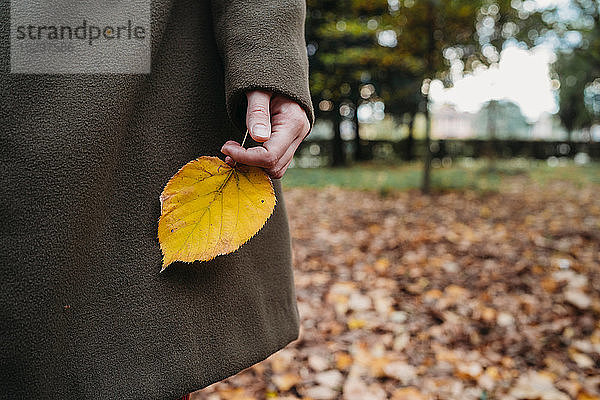 Junge Frau hält Herbstblatt im Park  gepflanzt