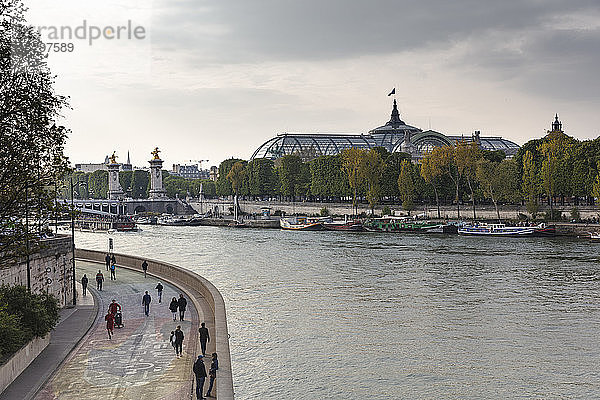 Blick auf den Grand Palais und die Pont Alexandre III über die Seine  Paris  Frankreich