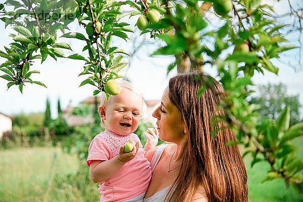 Mutter trägt Kleinkind-Tochter unter Obstbaum  Kopf und Schulter  Arezzo  Toskana  Italien