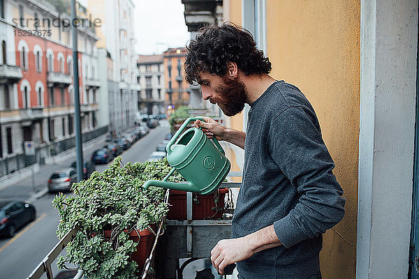 Bärtiger junger Mann giesst Pflanzen auf dem Balkon