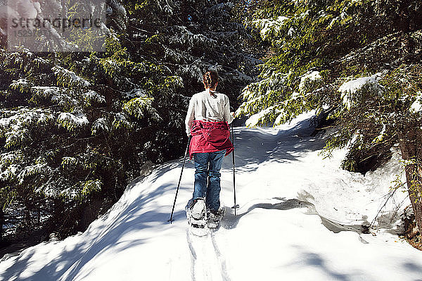 Teenager-Mädchen beim Schneeschuhwandern im verschneiten Bergwald  Rückansicht  Steiermark  Tirol  Österreich