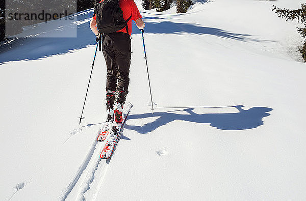 Erwachsener männlicher Skifahrer bewegt sich in schneebedecktem Berg aufwärts  Hals abwärts Rückenansicht  Steiermark  Tirol  Österreich