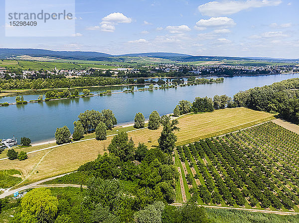 Deutschland  Rheinland-Pfalz  Luftaufnahme von Heidesheim am Rhein  Rhein und Eltville