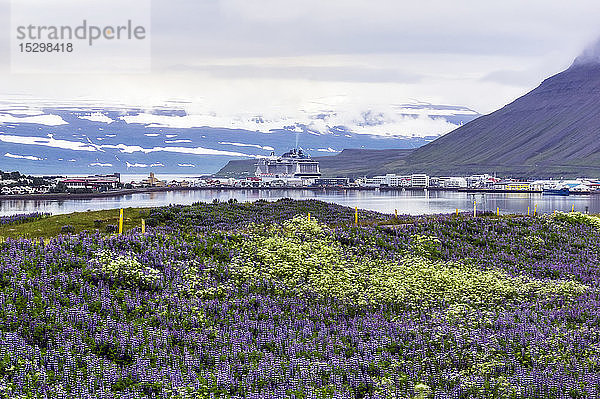 Island  Isafjordur