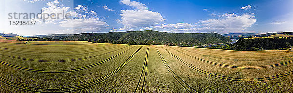 Deutschland  Rheinland-Pfalz  Region Bingen  Henschhausen am Rhein  Panoramablick auf Getreidefelder