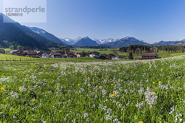 Deutschland  Bayern  Allgäu  Oberallgäu  Allgäuer Alpen  Illertal  Rubi