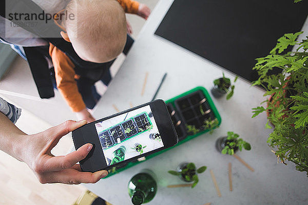 Hochwinkelansicht eines Bloggers  der Pflanzen mit einem Smartphone fotografiert  während er ein Mädchen in der Küche trägt