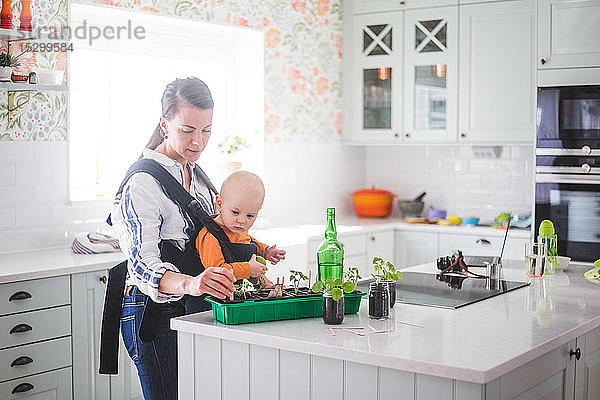Berufstätige Mutter pflanzt Pflanzen in Container  während sie ihre Tochter in der Küche zu Hause trägt