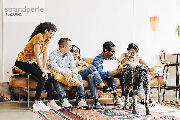 Fröhliche Programmierer  die mit einem Kollegen auf dem Sofa sitzend in einem kreativen Büro Hund spielen