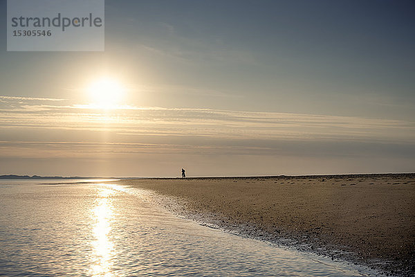 Mann am Strand  Ellenbogen  Sylt  Schleswig-Holstein  Deutschland  Europa