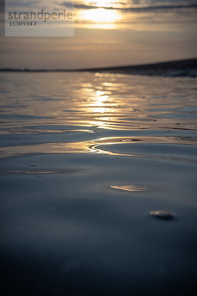 Sonnenuntergang  Ellenbogen  Sylt  Schleswig-Holstein  Deutschland  Europa