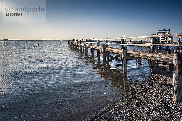 Geltinger Bucht  Wackerballig  Schleswig-Holstein  Deutschland  Europa