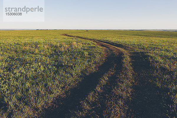 Blick über die weite offene Fläche des Tallgrass Prairie Preserve im Frühling  mit üppigem Gras und einem gut genutzten Weg.