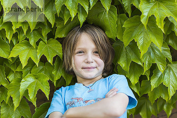 5 Jahre alter Junge steht vor grünen Blättern