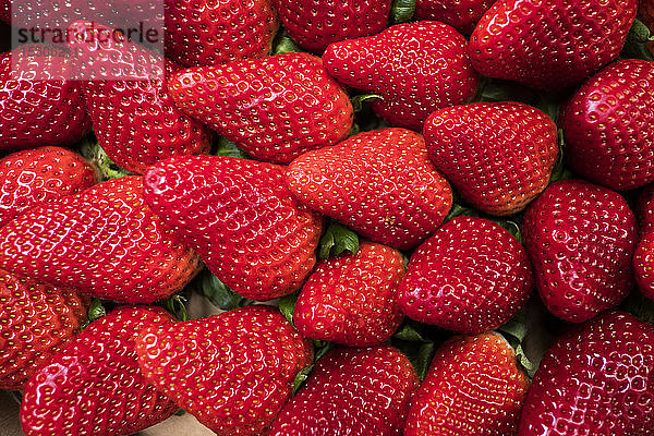 Frische Früchte  rote reife Erdbeeren