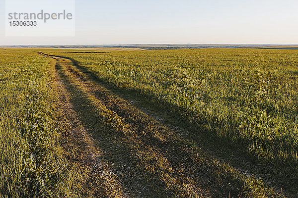 Blick über das Tallgrass Prairie Preserve im Frühling  mit üppigem Gras und einem gut genutzten Weg.