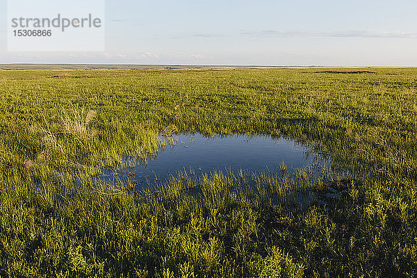 Blick über die weite offene Fläche des Tallgrass Prairie Preserve im Frühling  Grasland und ein kleiner Tautümpel.