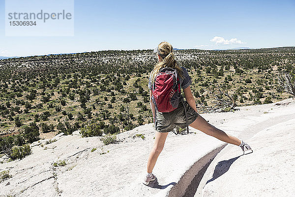 Rückansicht eines jugendlichen Wandermädchens mit Blick auf eine Wüstenlandschaft