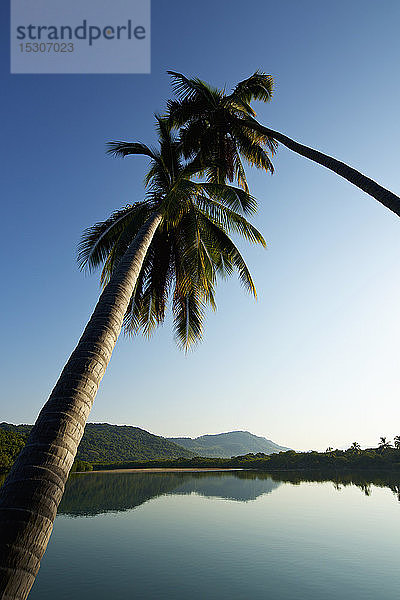 Palmen über einem ruhigen  idyllischen  sonnigen See  Platinitos  Nayarit  Mexiko