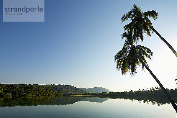 Palmen über einem ruhigen  idyllischen und sonnigen See  Platinitos  Nayarit  Mexiko