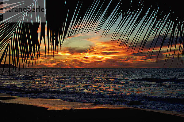 Idyllischer  malerischer Sonnenuntergang über dem ruhigen Meer  Sayulita  Nayarit  Mexiko