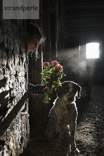 Mädchen zeigt dem Hund Blumen in einer sonnigen Scheune