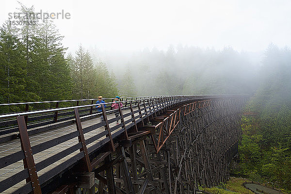 Kinder rennen über einen Bahndamm  British Columbia  Kanada