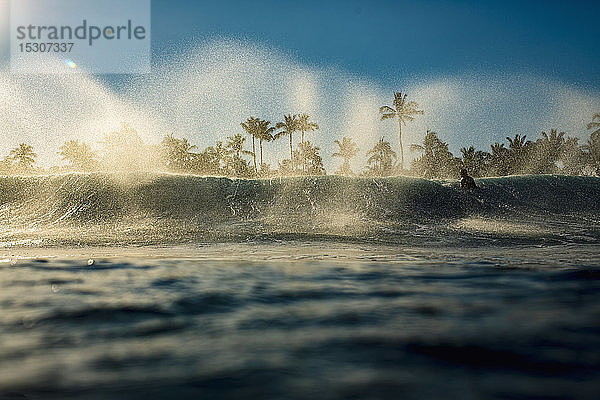 Männlicher Surfer paddelt über eine brechende Welle auf dem Meer bei Sonnenaufgang  Sayulita  Nayarit  Mexiko