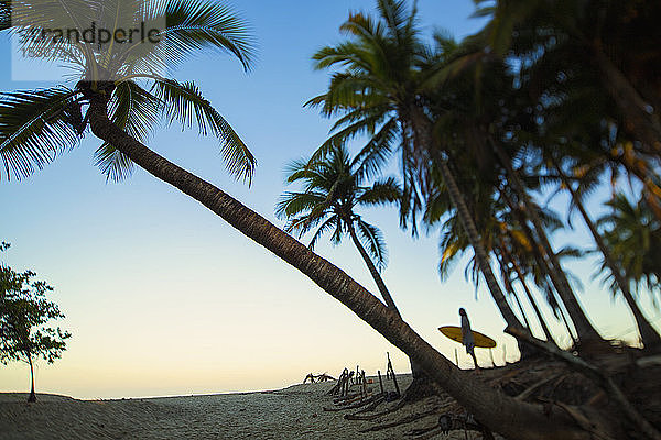 Surfer beim Spaziergang am idyllischen  tropischen Strand  Sayulita  Nayarit  Mexiko