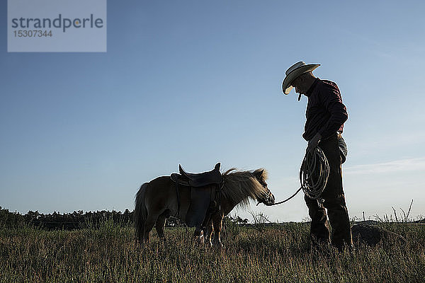 Cowboy mit gesatteltem Pony in einem sonnigen ländlichen Feld