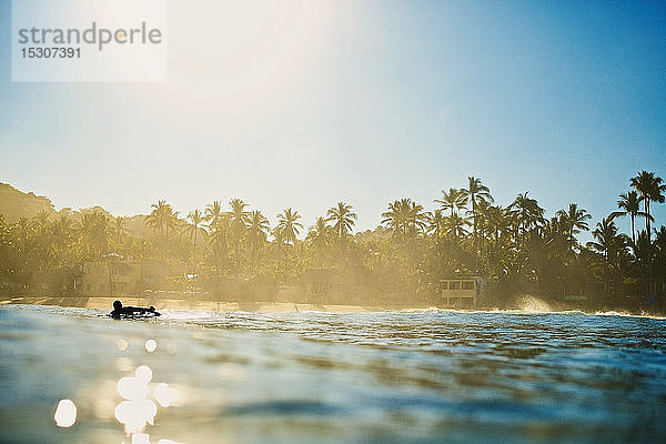 Silhouette männlicher Surfer beim Paddeln auf dem tropischen Ozean bei Sonnenaufgang  Sayulita  Nayarit  Mexiko