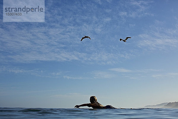 Weibliche Surferin paddelt auf dem sonnigen  blauen Meer