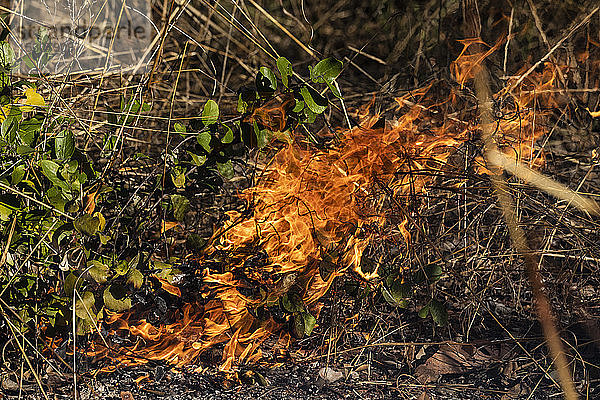 Vorbeugende Brandbekämpfung