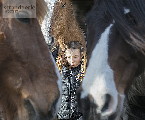 Gelassenes Mädchen mit Pferden